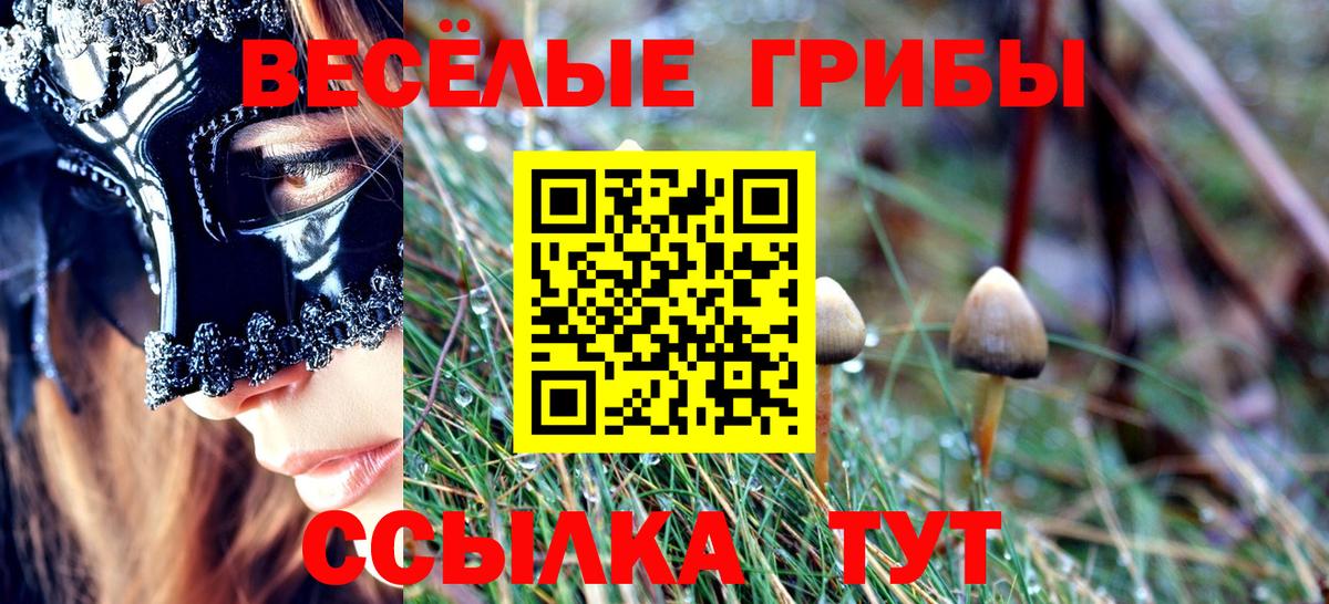 Галлюциногенные грибы ЛСД Котлас